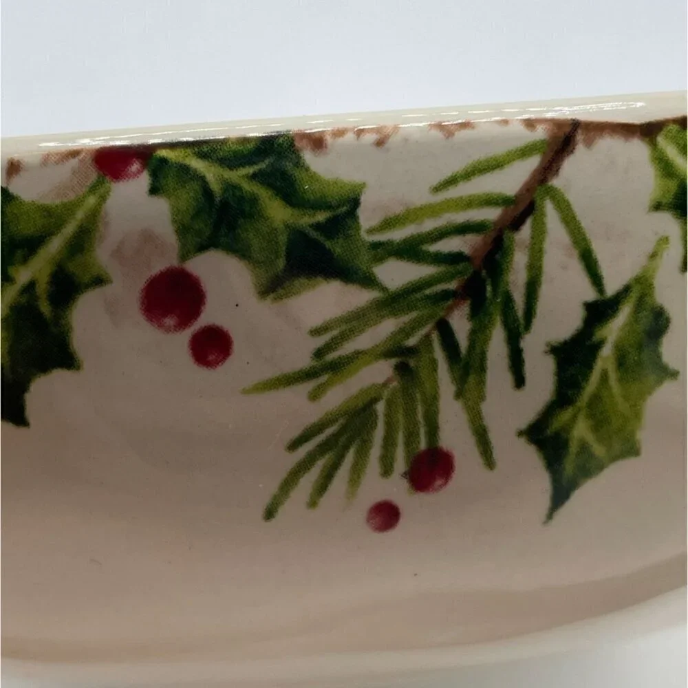 Pier 1 Winter's Wonder Holiday Christmas Ironstone Dinner Cereal Soup Bowl 8